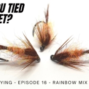 Rainbow-Mix-P.T.N.-Fly-Tying-Episode-16-UKFlyFisher
