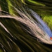Tying-a-Deep-Flatwing-with-Martyn-White