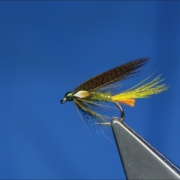 Tying-an-Olive-Connemara-Wet-Fly-by-Davie-McPhail