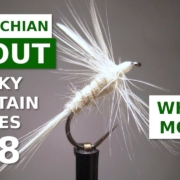 White-Moth-Dry-Fly-Fly-Tying-AppalachianGreat-Smoky-Mountain-Trout-Patterns