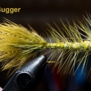 Wooly-Bugger-Small-Dubbed-Body-with-Chickabou-tail-McFly-Anger-Fly-Tying-Session