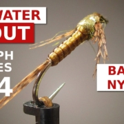 Baetis-Nymph-Pattern-Trout-Fly-Tying-for-Beginners