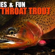 Dry-Flies.-Fun.-And-Cutthroat-Trout