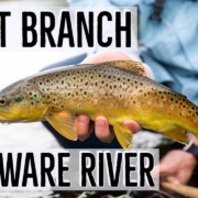 Dry-Fly-Fishing-For-Brown-Trout-West-Branch-Delaware-River