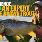 Experience-an-Expert-Huge-Brown-Trout-Luck