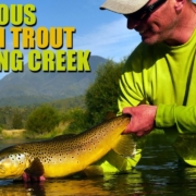 Fly-Fishing-Spring-Creek-Epic-HUGE-BROWN-TROUT-in-gin-clear-water