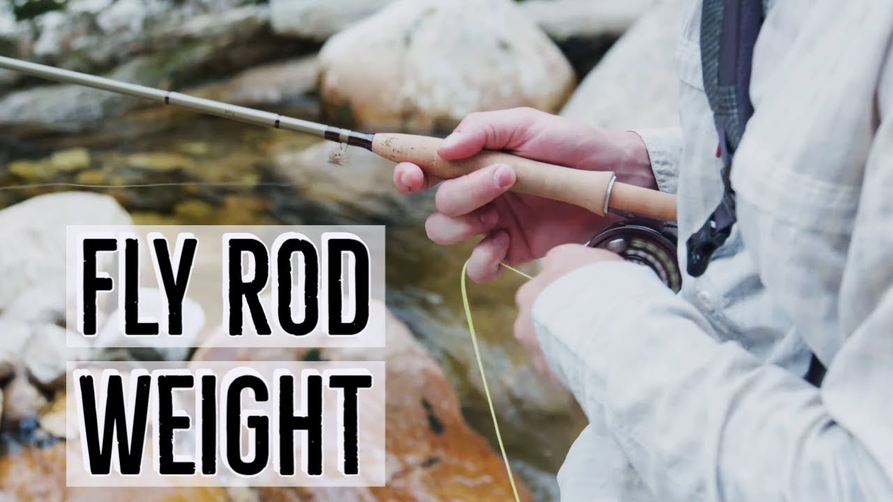 Fly Rod Weight Explained  Beginner's Guide to Getting Started in