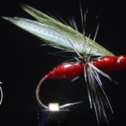 Fly-Tying-Flying-Ant-Pattern-Red-Hard-Body-Version-with-Matt-O39Neal