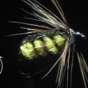 Fly-Tying-The-Fat-Tellico-All-purpose-Nymph-with-Matt-O39Neal