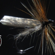 Fly-Tying-The-Kings-River-Caddis-Dry-Fly-with-Matt-O39Neal