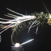 Fly-Tying-The-Peacock-Creeper-Nymph-with-Matt-O39Neal