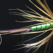 Fly-Tying-The-Rhychy-All-purpose-NymphFlymph-with-Matt-O39Neal
