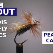 Fly-Tying-the-Peacock-Caddis-Dry-Fly-Pattern