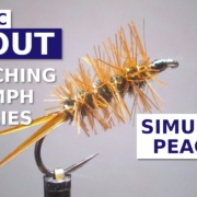 Fly-Tying-the-Simulator-Peacock-a-Randall-Kaufmann-Nymph-Pattern
