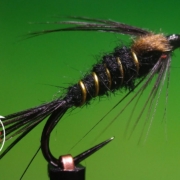 Fly-Tying-the-Styx-River-Nymph-with-Matt-O39Neal