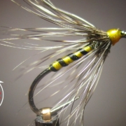 Fly-Tying-the-Yellow-Hammer-Classic-Wet-Fly-Pattern-with-Matt-O39Neal