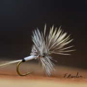 Fly-tying-a-Cripple-Peccary-dry-fly-with-Fabien-Moulin