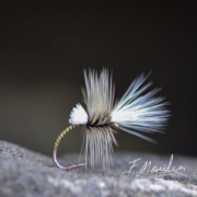 Fly-tying-a-Dry-fly-hackle-work-and-peacock-quills-with-Fabien-Moulin