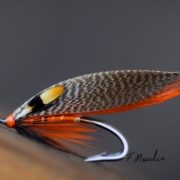 Fly-tying-a-Mallard-wings-salmon-fly-by-Fabien-Moulin
