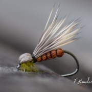 Fly-tying-a-deer-hair-Run-Caddis-dry-fly-by-Fabien-Moulin