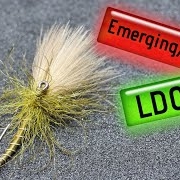 Flytying-how-to-tie-an-Emerging-Spent-LDO-large-dark-olive