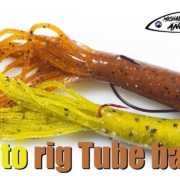How-to-rig-Tube-Baits-on-jig-head-and-Texas-style
