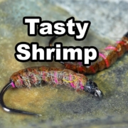 How-to-tie-the-Indicator-Shrimp