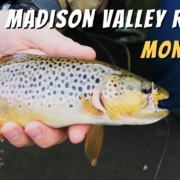 Madison-Valley-Ranch-Montana-Fly-Fishing