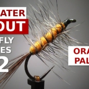 Orange-Palmer-Dry-Fly-Trout-Fly-Tying-for-Beginners