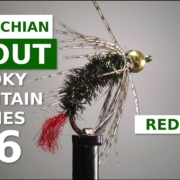 Red-Bud-Gray-Hackle-Peacock-Variant-Great-Smoky-Mountain-Trout-Fly-Tying