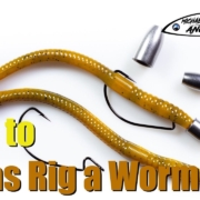 Rig-a-Texas-Worm-basic-angling-tips
