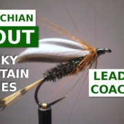 The-Leadwing-Coachman-Fly-Tying-AppalachianSmoky-Mountain-Trout-Patterns