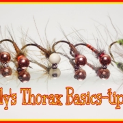 Thorax-Basics-Tips