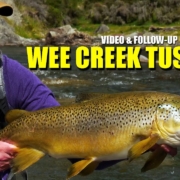 BIG-BROWN-TROUT-How-to-Fly-Fish-Trout-Streams-quotWee-Creek-Tusslesquot