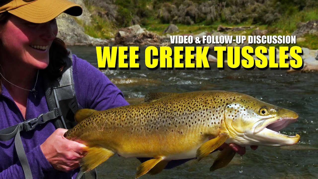 BIG-BROWN-TROUT-How-to-Fly-Fish-Trout-Streams-quotWee-Creek-Tusslesquot