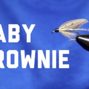 Baby-Brownie