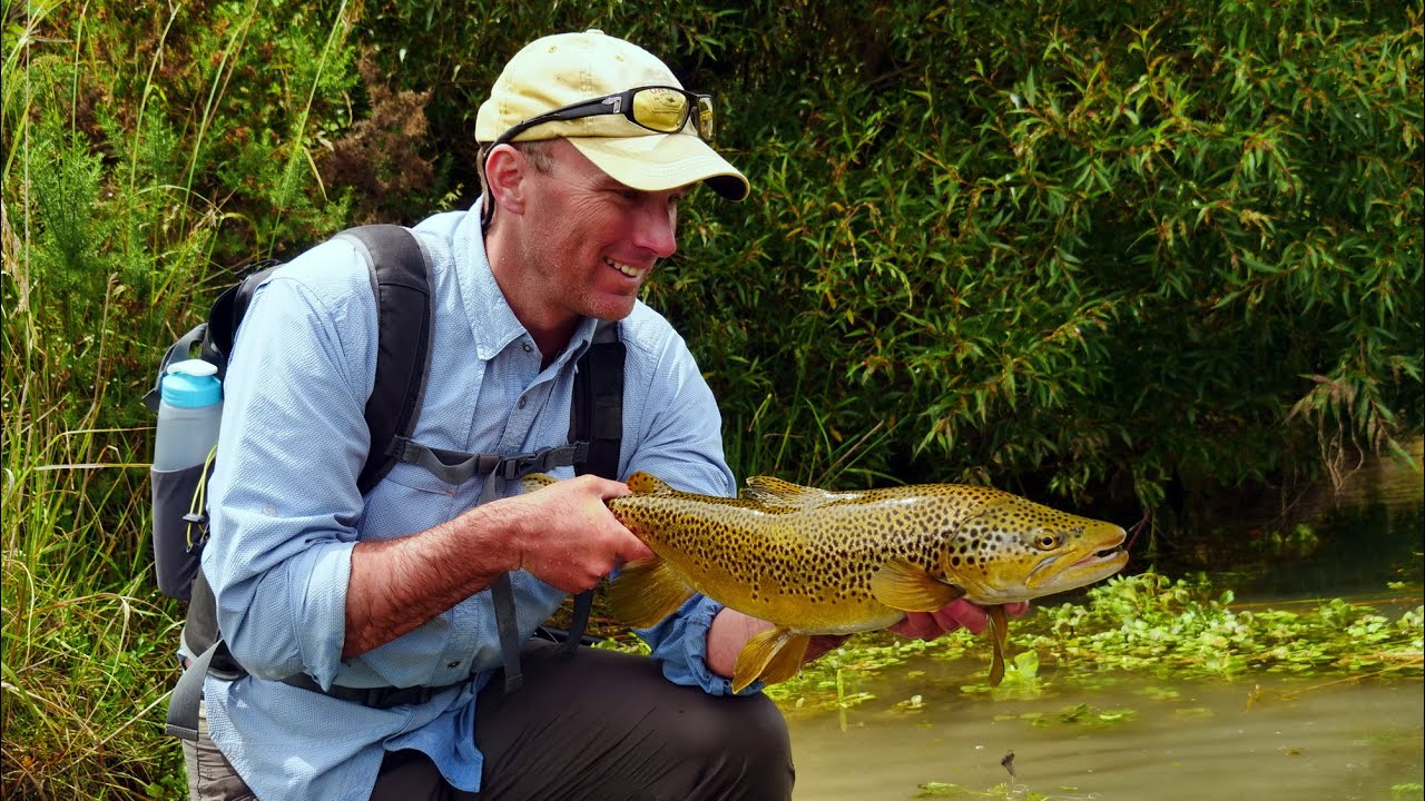 Fly-Fishing-BIG-BROWN-TROUT-RAINBOW-TROUT-in-back-channels-and-back-waters.-Part-1