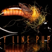 Fly-Line-Pupa-Recycling-an-old-fly-line-to-catch-fish-again