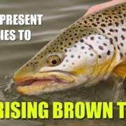 HOW-TO-present-mayflies-to-BIG-BROWN-TROUT-on-flat-water