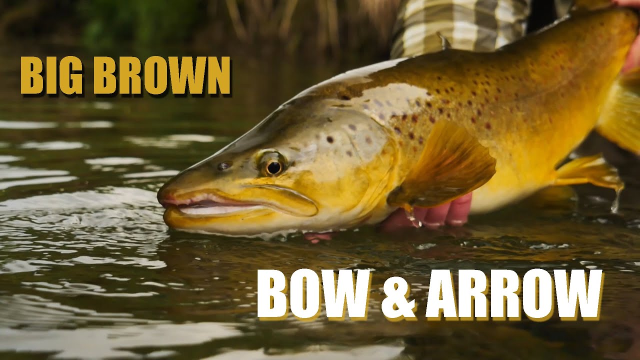 How-to-Bow-amp-Arrow-Cast-and-fight-a-BIG-BROWN-TROUT-in-heavy-cover