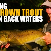 How-to-Fly-Fish-Trout-Streams-Tips-Tactics-amp-Discussion-Backwater-Cyclers