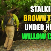 How-to-Fly-Fish-Trout-Streams-Tips-Tactics-amp-Discussion-quotStalking-Brown-Trout-Under-Willow-Coverquot