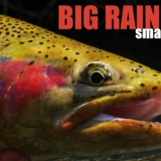 How-to-Hook-amp-Fight-BIG-TROUT-in-SMALL-STREAMS