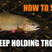 How-to-Spot-Deep-Holding-Trout-AKA-quotsmudge-huntquot