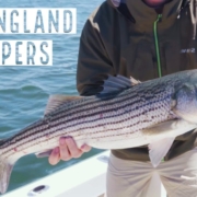 Stripers-on-The-Fly-Boat-Fishing-New-England