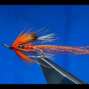 Tying-a-Allys-Shrimp-Salmon-Fly-with-Davie-McPhail