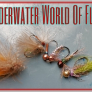 Underwater-World-Of-Flies