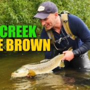 Wee-Creek.-Huge-Brown.-How-to-fight-a-huge-brown-in-a-tiny-creek