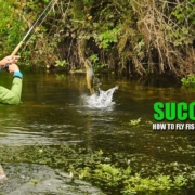 quotSuccinctquot-How-to-fly-fish-spring-creeks
