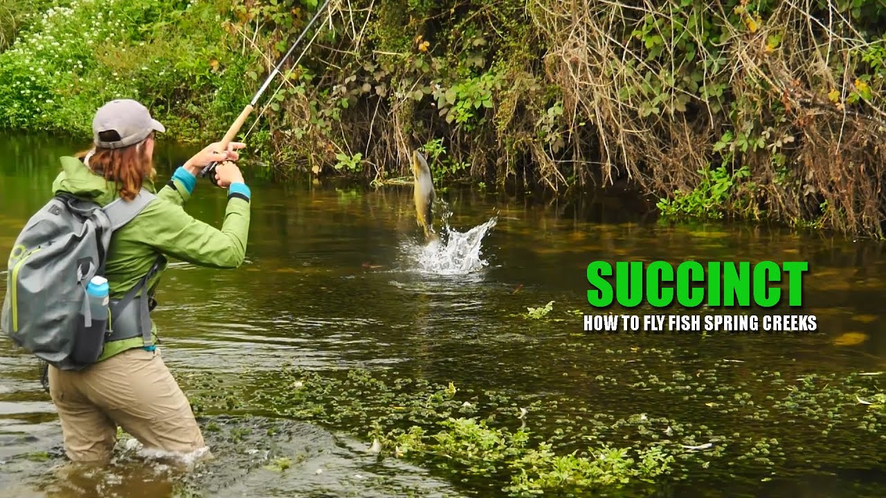 quotSuccinctquot-How-to-fly-fish-spring-creeks
